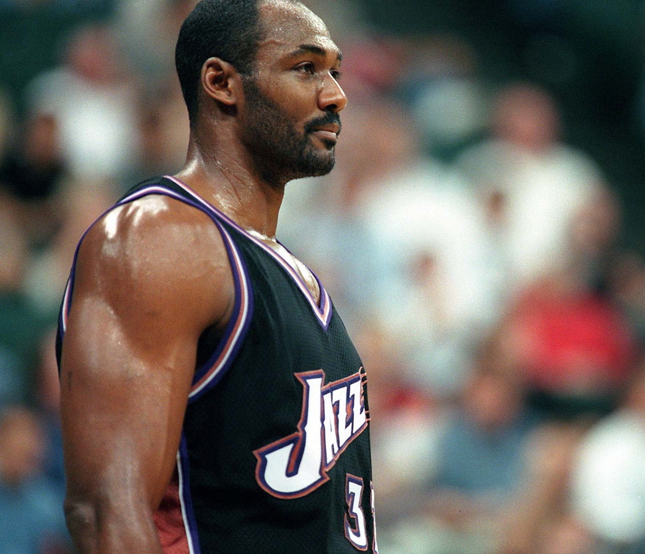 能训练领域 能训练领域