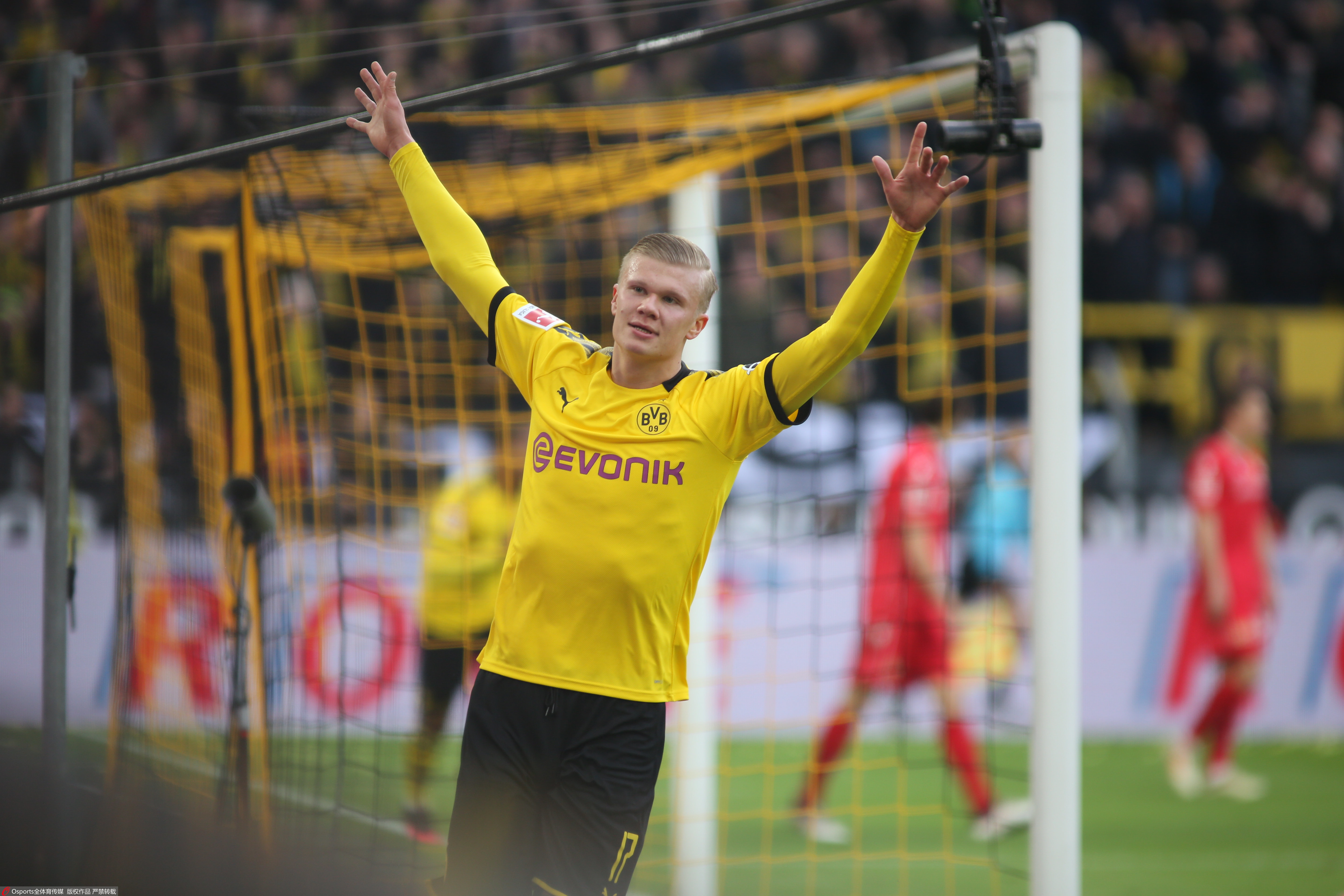 逐步成形 逐步成形